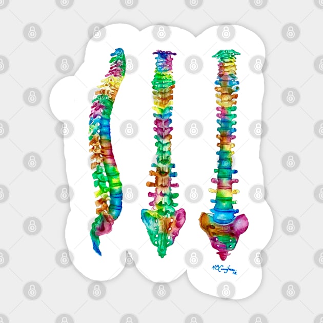 Spine Anatomy 3 Views Sticker by CunninghamWatercolors